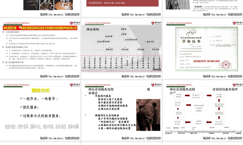 XXXX年成都XX策划简介(PPT46页)