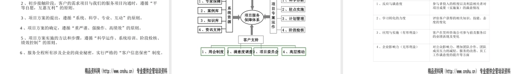 XXXX年成都XX策划简介(PPT46页)