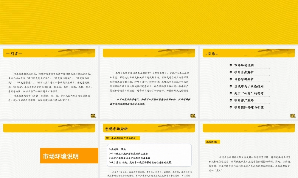 XXXX年成都明发·城市广场项目定位及营销推广建议书