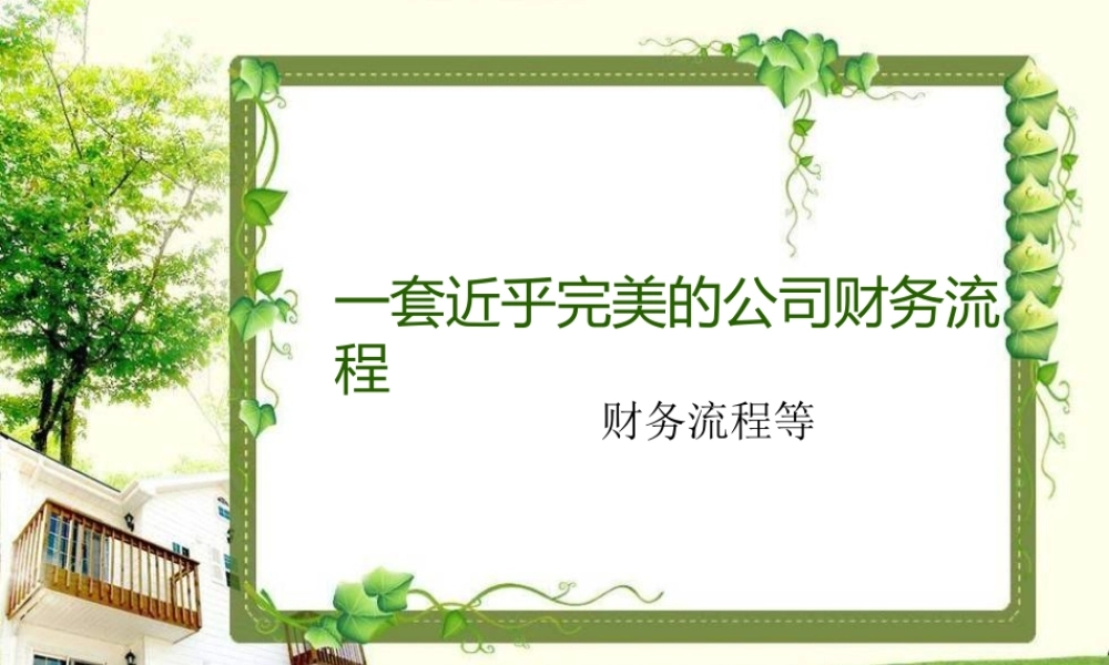 一套近乎完美的公司财务流程