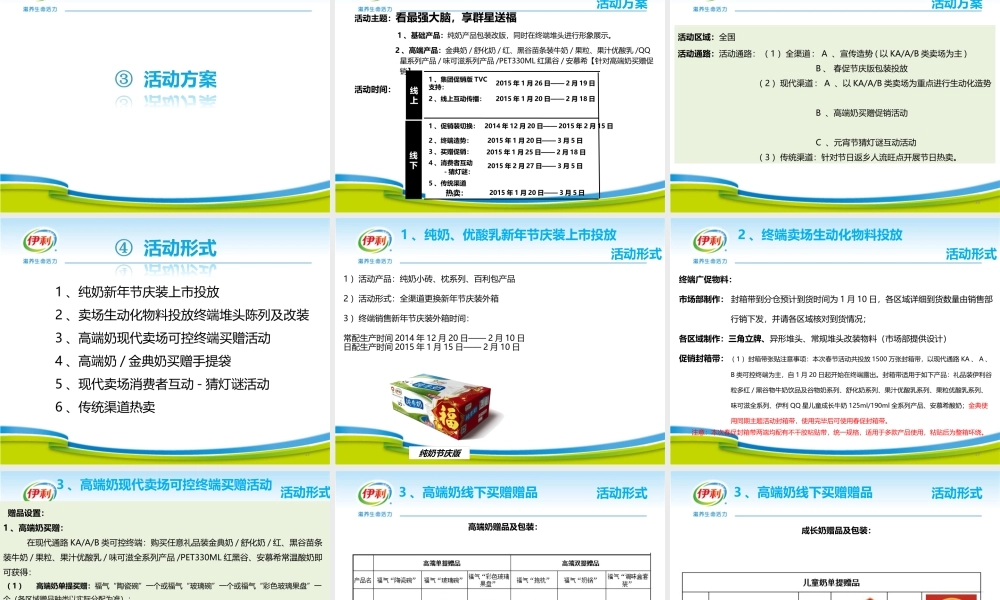 XXXX年春节主题促销活动方案&amp;amp;执行标准