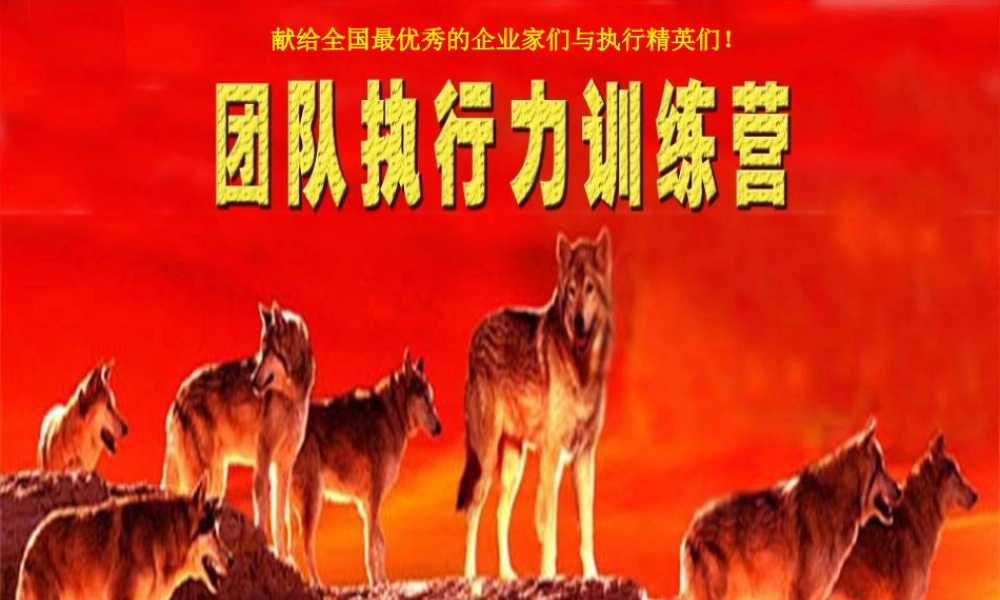 XXXX年打造团队执行力精品