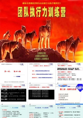 XXXX年打造团队执行力精品