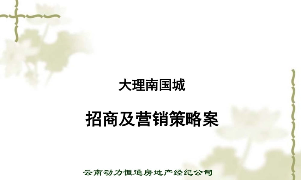 XXXX年大理南国城招商及营销策略案