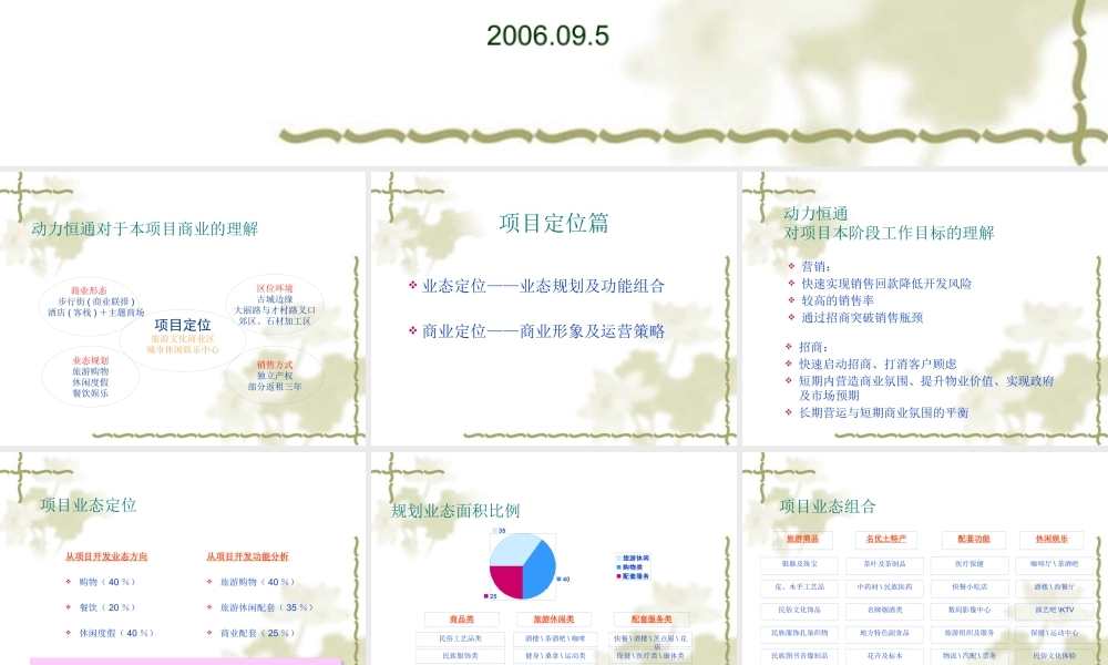 XXXX年大理南国城招商及营销策略案