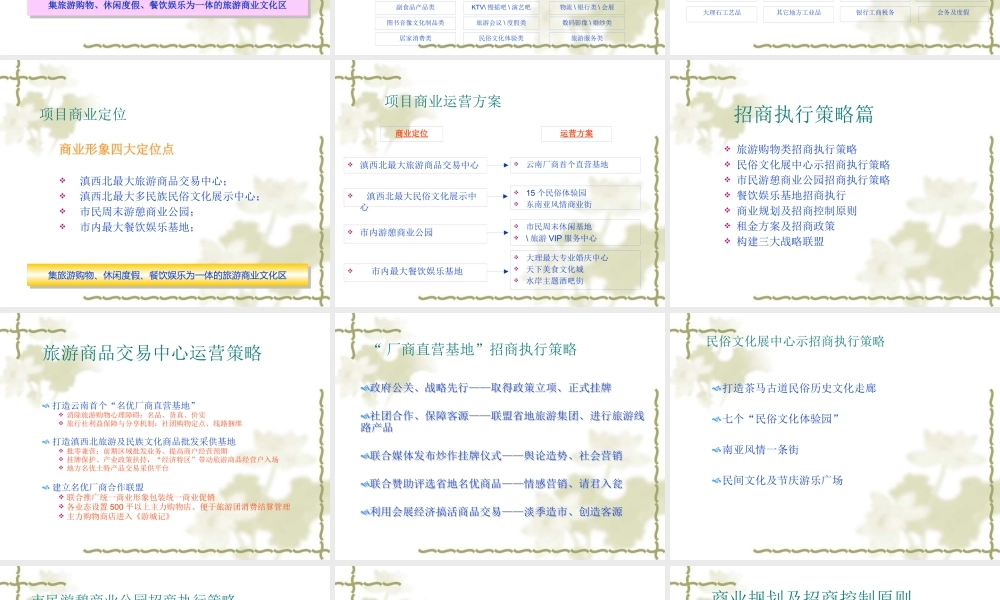 XXXX年大理南国城招商及营销策略案