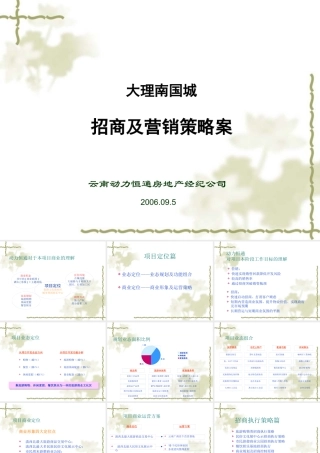 XXXX年大理南国城招商及营销策略案