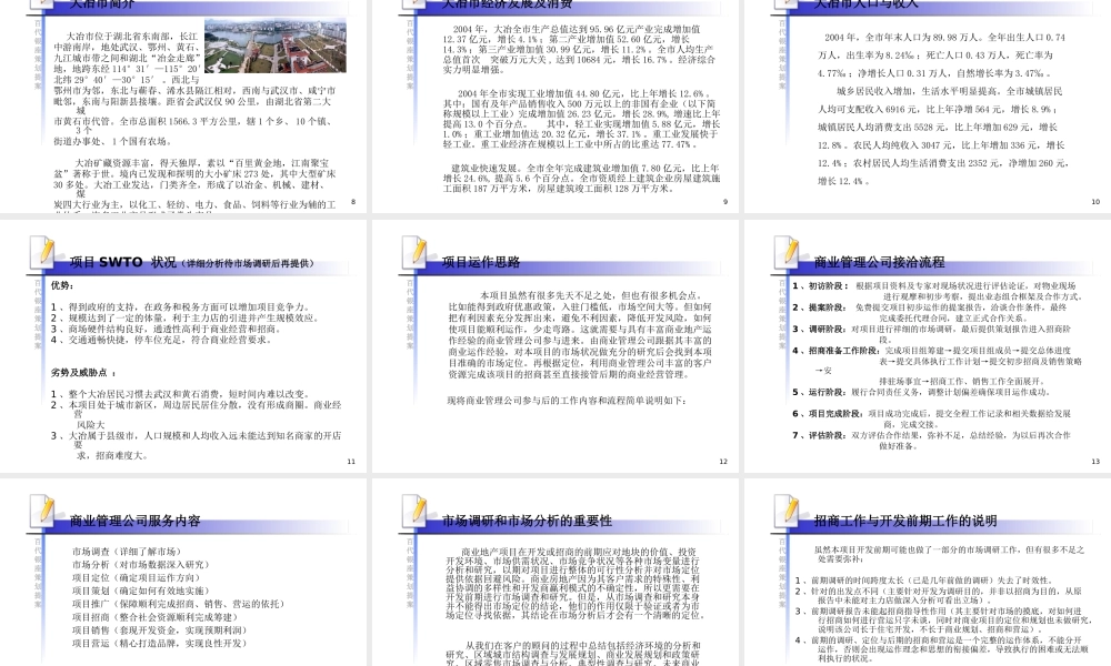 XXXX年大冶市百代银座广场策划提案