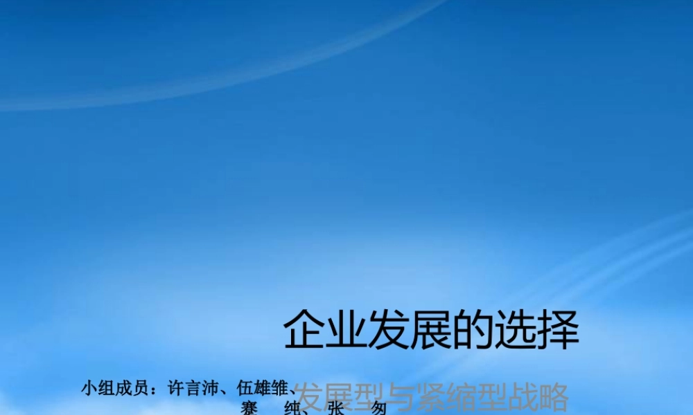 一体化战略、多元化战略、紧缩型战略