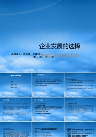 一体化战略、多元化战略、紧缩型战略