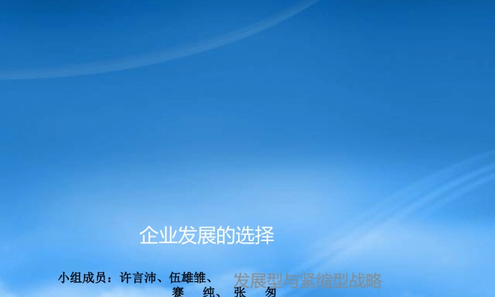一体化战略-多元化战略紧缩型战略