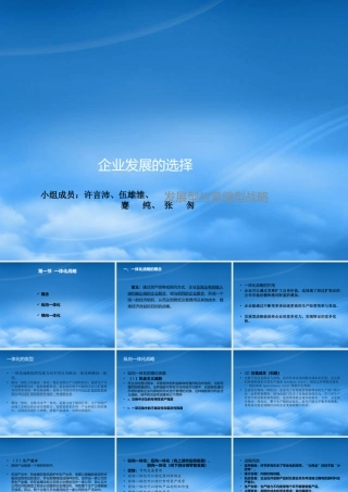 一体化战略-多元化战略紧缩型战略