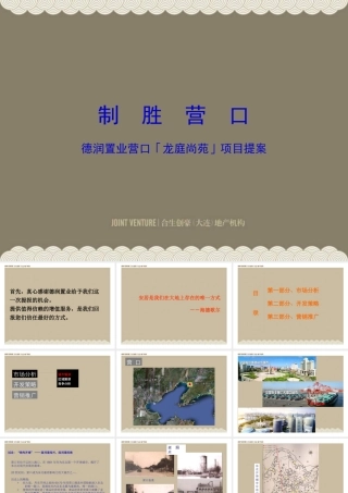 XXXX年德润置业营口龙庭尚苑项目提案