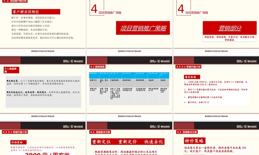 XXXX年德州金马商城住宅尾期推盘策略