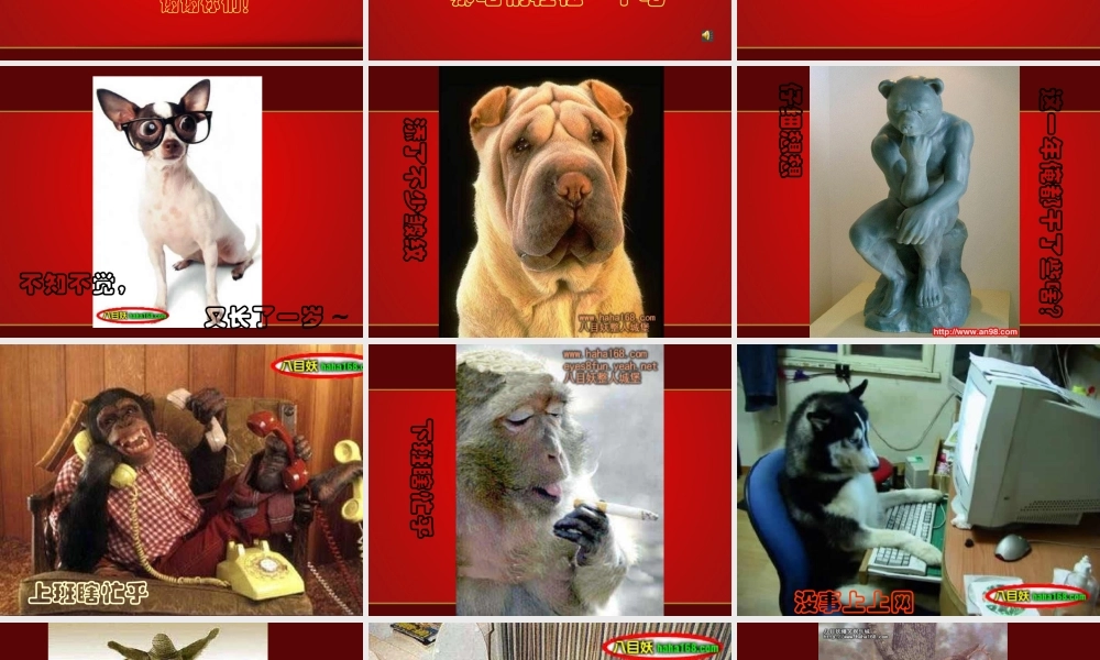 XXXX年底工作总结PPT