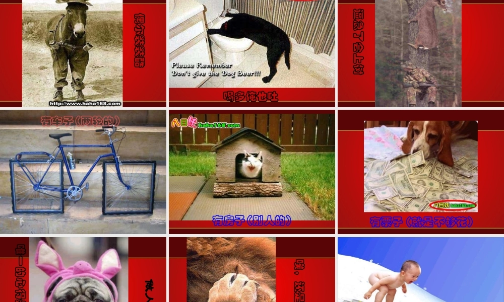 XXXX年底工作总结PPT