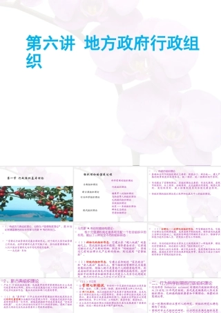 XXXX年第6讲地方行政组织