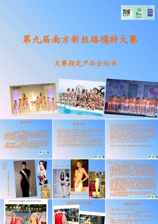XXXX年第九届南方新丝路大赛指定产品企划书
