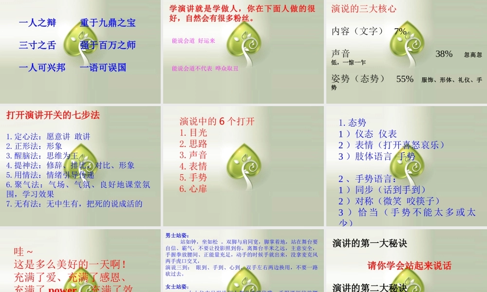 一天学会演说