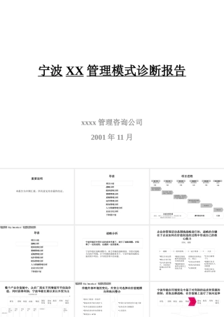 《宁波XX管理模式诊断报告(PPT212)着名咨询公司》