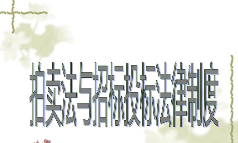 《拍卖法与招标投标法律制度