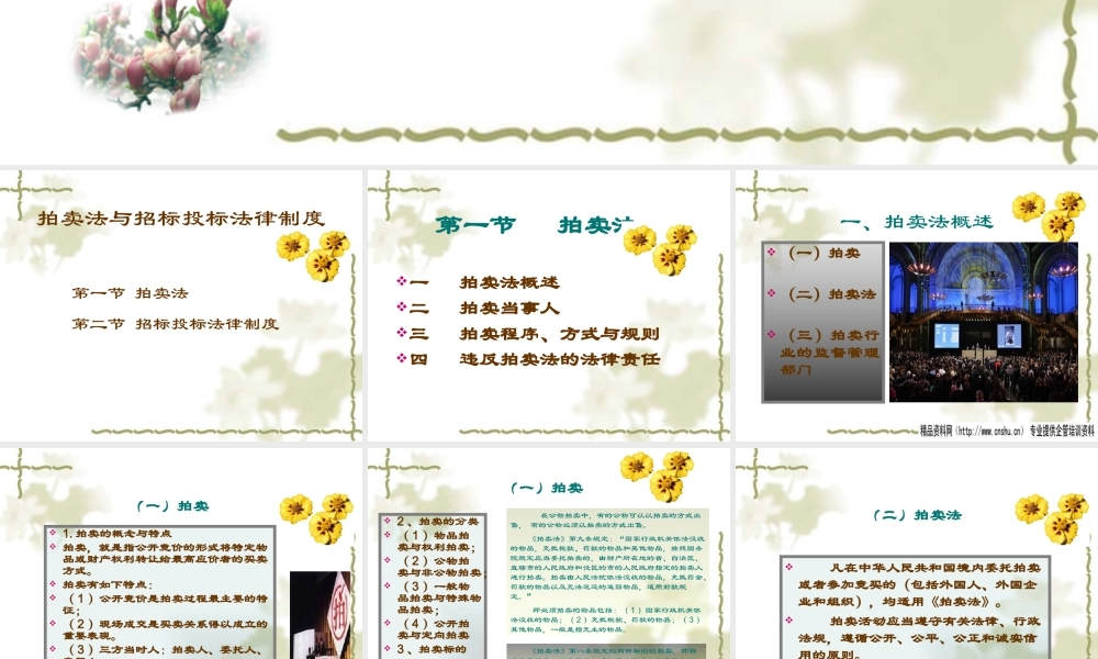 《拍卖法与招标投标法律制度