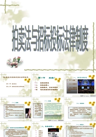 《拍卖法与招标投标法律制度