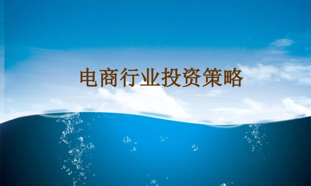 XXXX年电子商务行业投资分析报告
