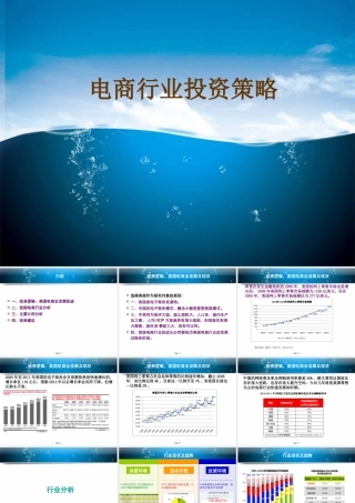 XXXX年电子商务行业投资分析报告