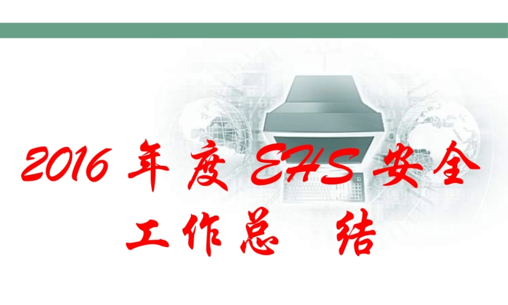 XXXX年度EHs安全工作总结