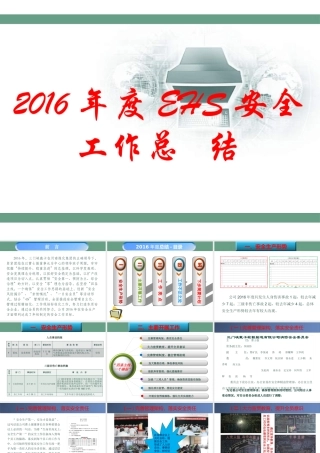 XXXX年度EHs安全工作总结