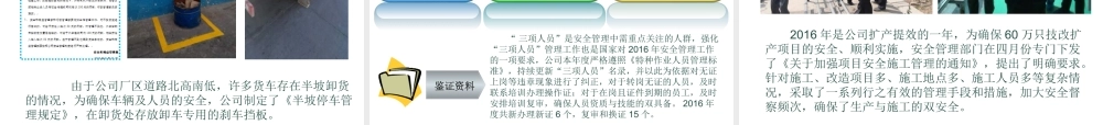 XXXX年度安全工作总结