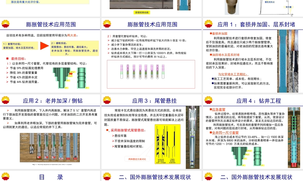 《膨胀套管技术的发展及应用》XXXX0807