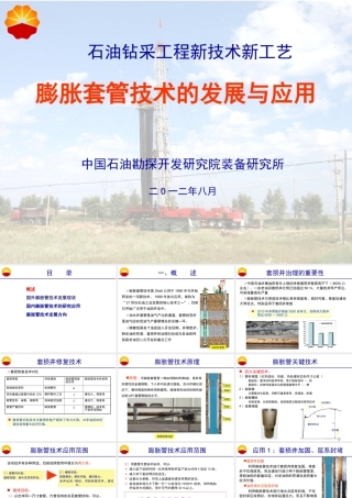 《膨胀套管技术的发展及应用》XXXX0807