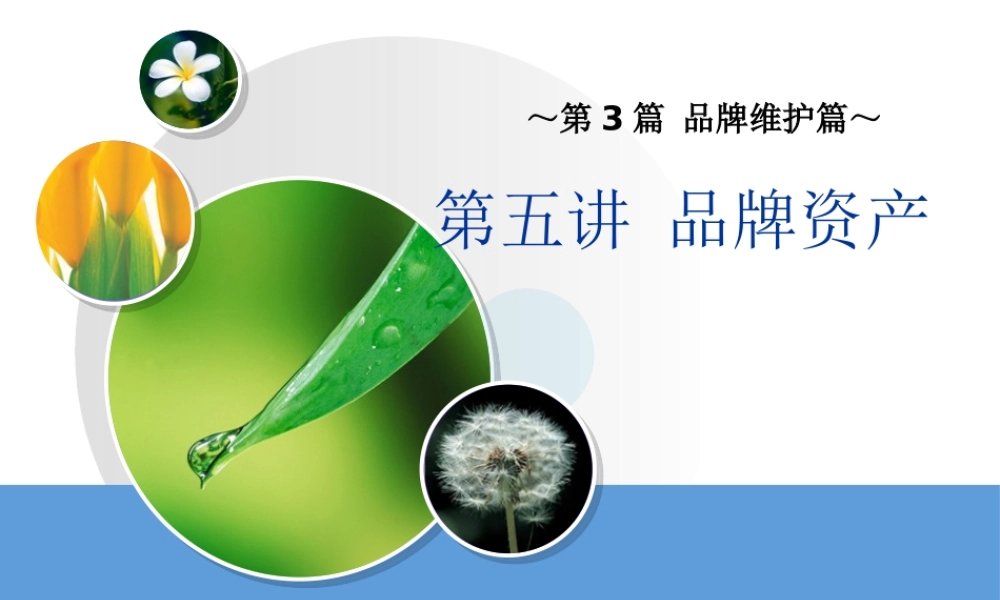 《品牌管理》第六讲品牌资产