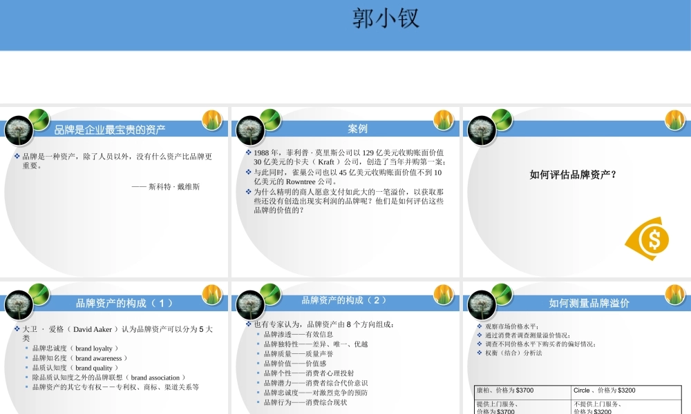 《品牌管理》第六讲品牌资产