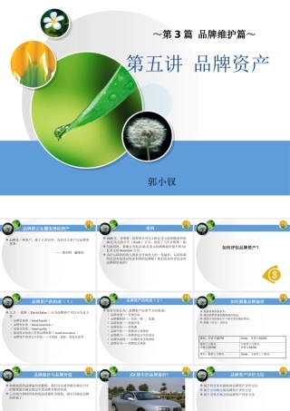 《品牌管理》第六讲品牌资产