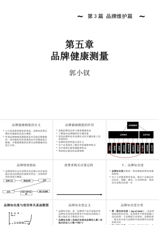 《品牌管理》第五讲品牌健康测量