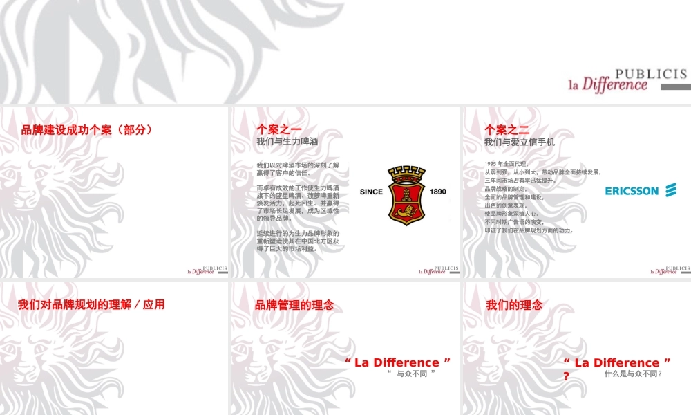 《品牌建设成功个案(部分)》