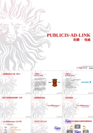 《品牌建设成功个案(部分)》