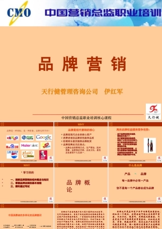 《品牌营销》课件