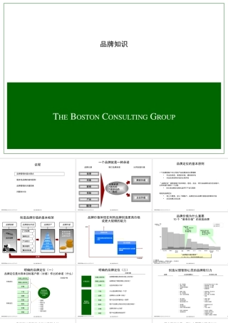 《品牌知识》某咨询