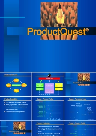 《品牌转换模型(Product Quest)》