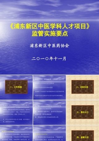 《浦东新区中医学科人才项目》监管实施要点