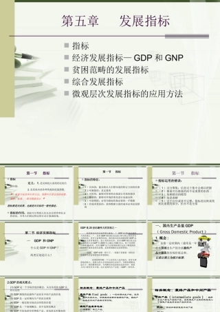 《普通发展学》第五章发展指标