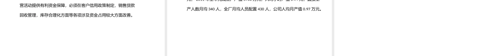 XXXX年度经营大会报告13