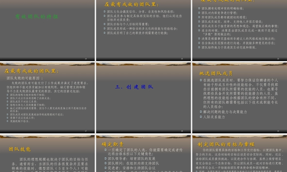 XXXX年度精选知识-精英团队管理