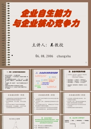 《企业发展战略》专题讲座