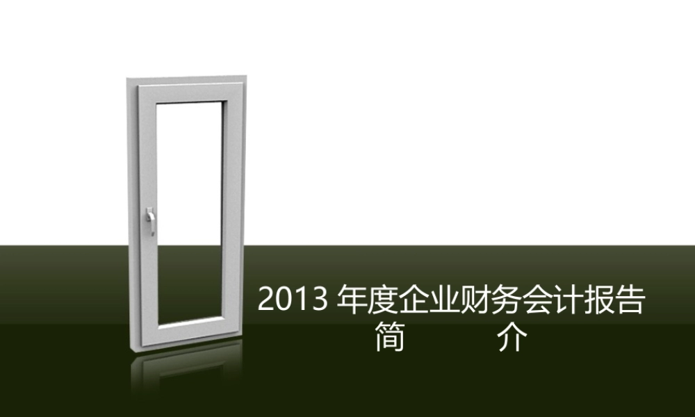 XXXX年度企业财务会计报告简介