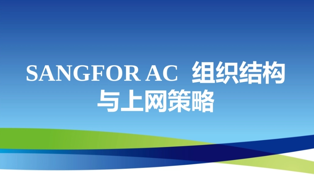 XXXX年度渠道初级认证培训04_组织结构与上网策略管理_2
